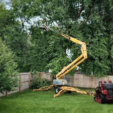 Best Tree Preservation Services  in Wellford, SC